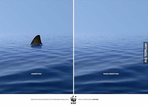 2.) WWF – 哪一個比較可怕？有鯊魚還是沒有鯊魚？