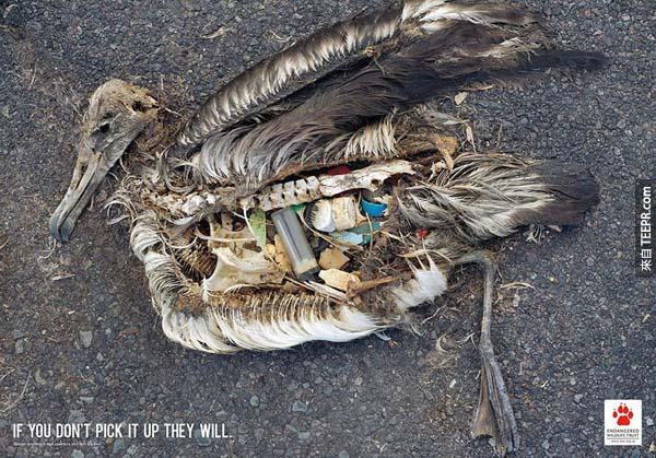 12.) 鳥類保護運動 －如果你不撿起你的垃圾的話，他們就會撿起來。
