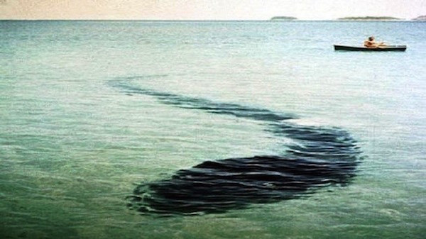 In 1964, French photographer Robert Serrec spotted and took a quick picture of what resembles a giant snake-like creature resting on the sea floor off the coast of Queensland, Australia. While some have offered the idea that it's a giant tarp, no credible explanation has ever been found for this bizarre photo.