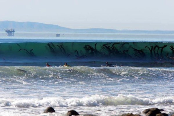 22張照片證明「海洋恐懼症比密集恐懼症還要恐怖」